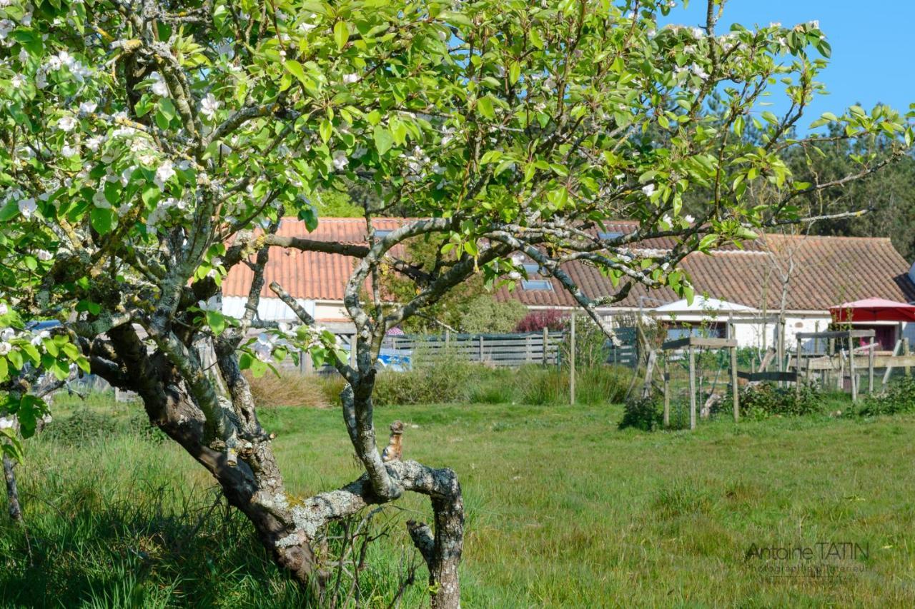La Chevrerie Bed & Breakfast Vairé Dış mekan fotoğraf