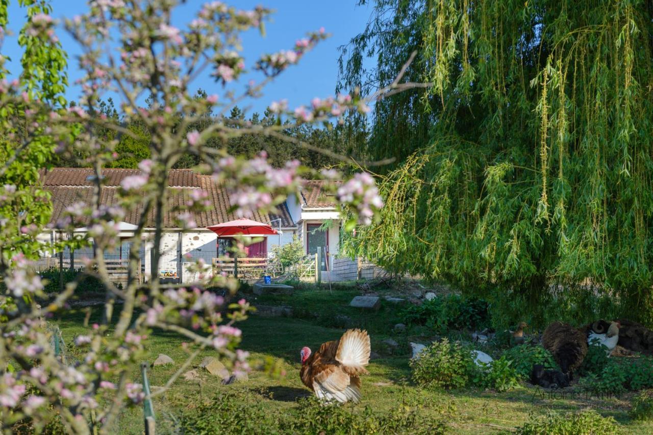 La Chevrerie Bed & Breakfast Vairé Dış mekan fotoğraf